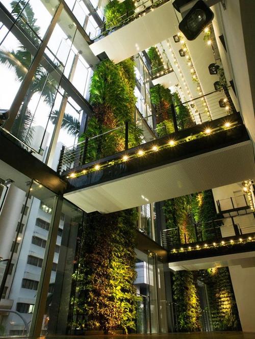 Вертикалното озеленяване в интериора: Важна информация и страхотни идеи